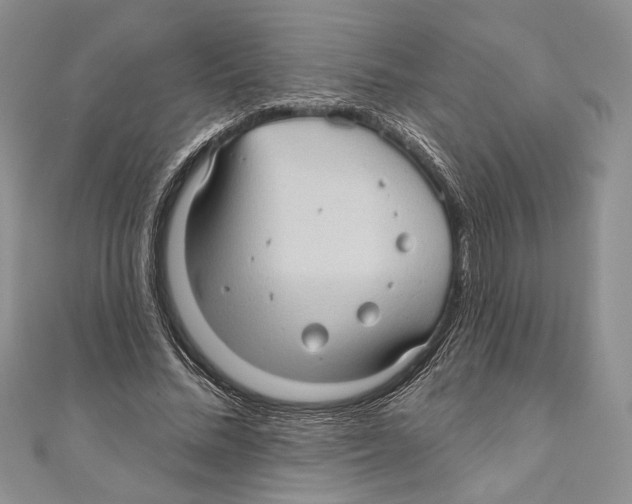 X0000111000684200907171814