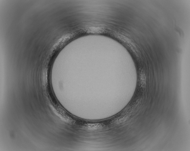 X0000111000686200907171814