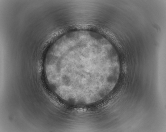 X0000111000687200907171814