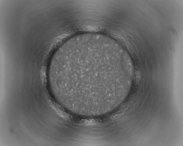 X0000111000688200907171814