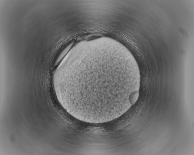 X0000111000689200907171814