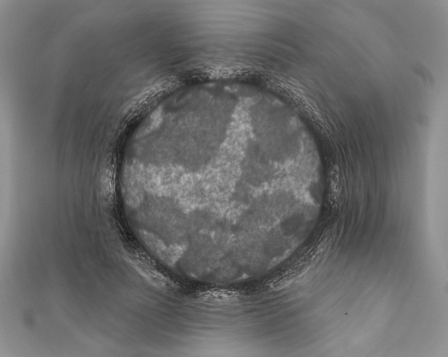 X0000111000691200907171814