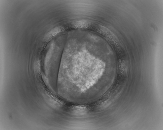 X0000111000692200907171814