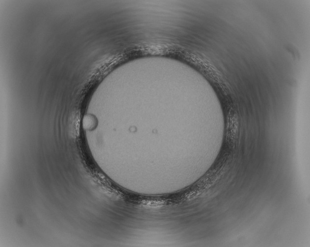 X0000111000694200907171814