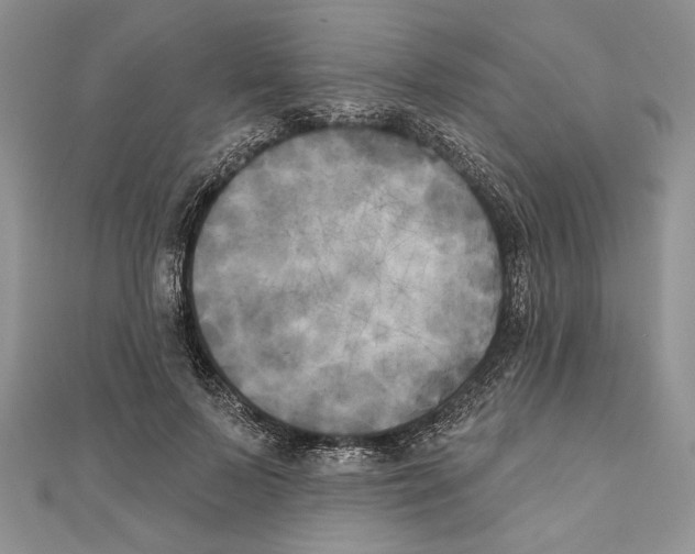 X0000111000695200907171814