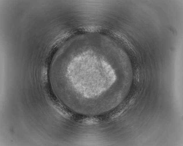 X0000111000696200907171814