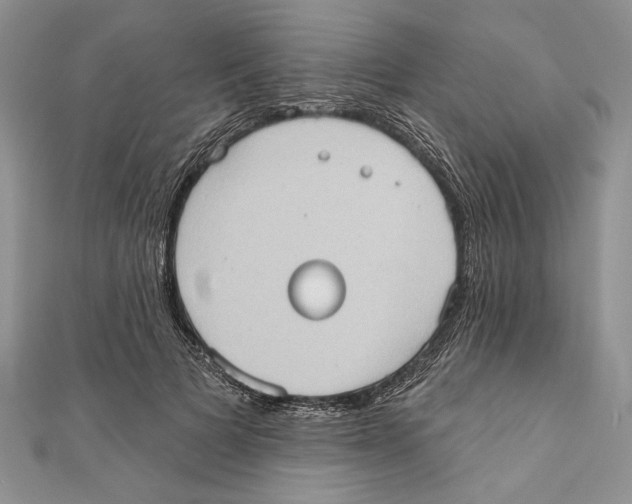 X0000111000697200907171814