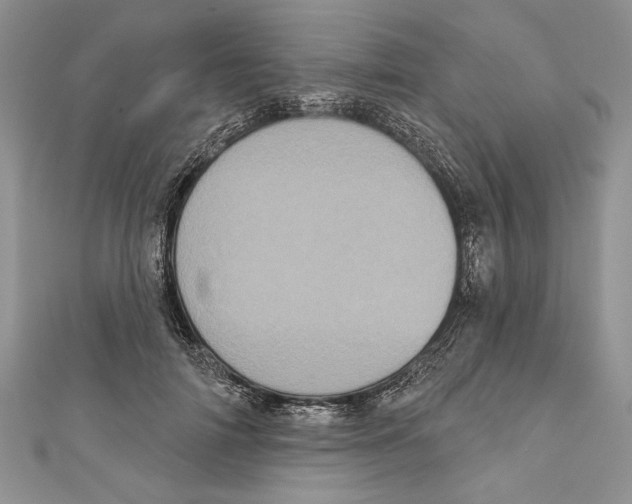 X0000111000698200907171814