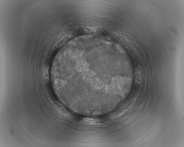 X0000111000699200907171814