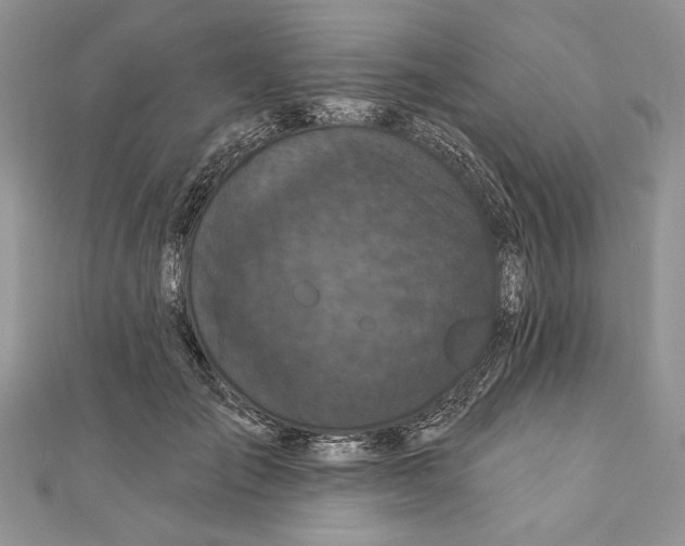 X0000111000701200907171814