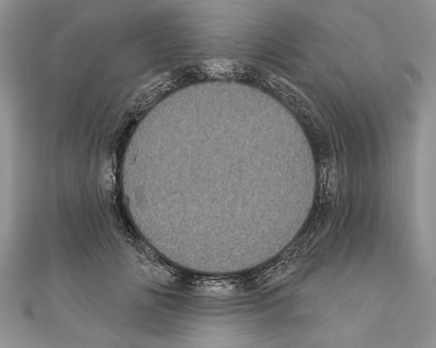 X0000111000702200907171814