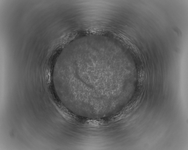 X0000111000703200907171814