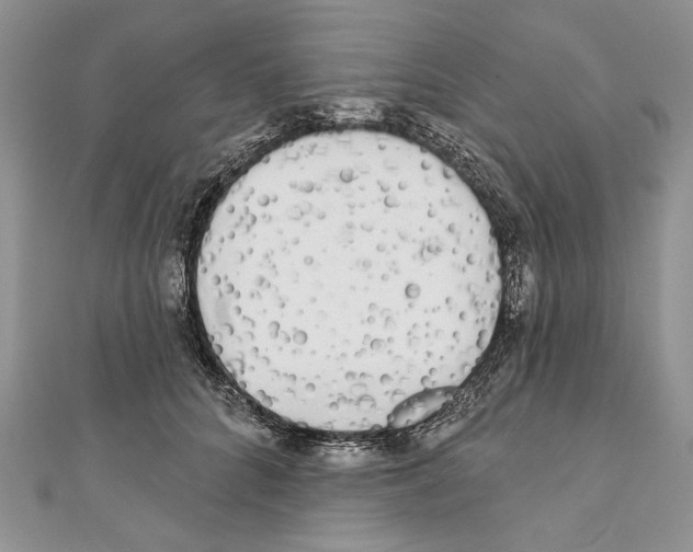 X0000111000704200907171814