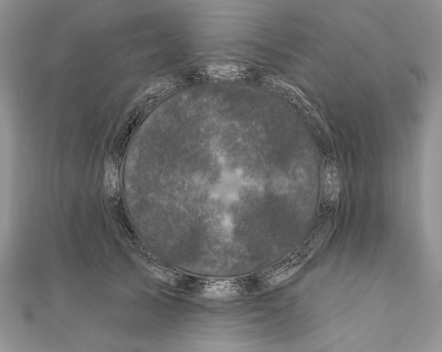 X0000111000705200907171814