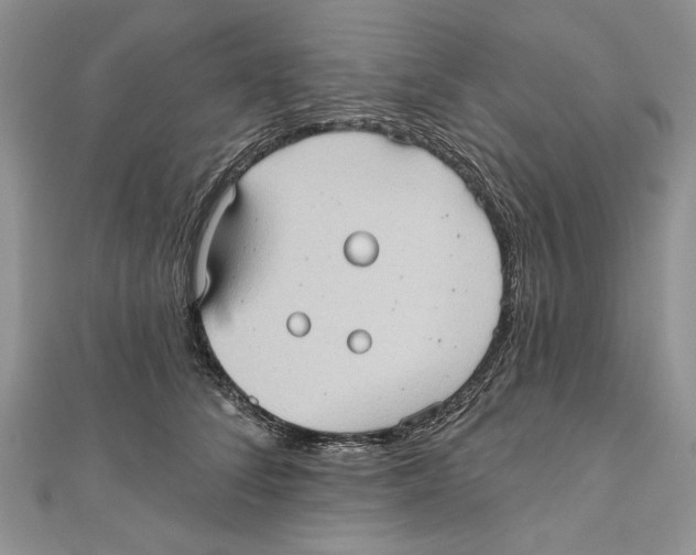 X0000111000708200907171814