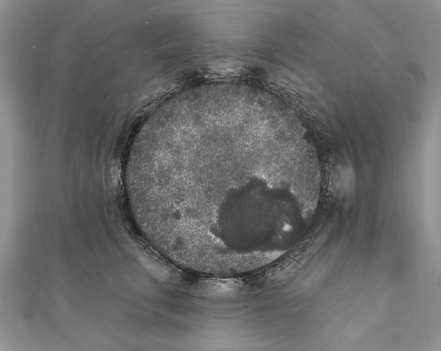 X0000111000711200907171814