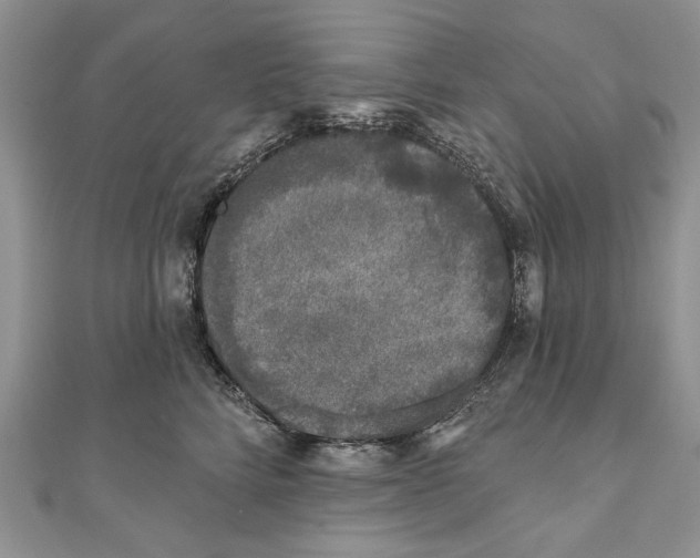 X0000111000712200907171814