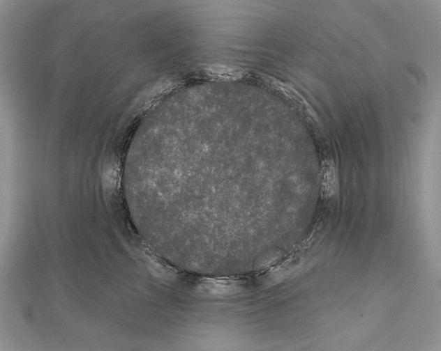 X0000111000713200907171814