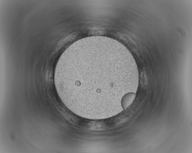 X0000111000714200907171814