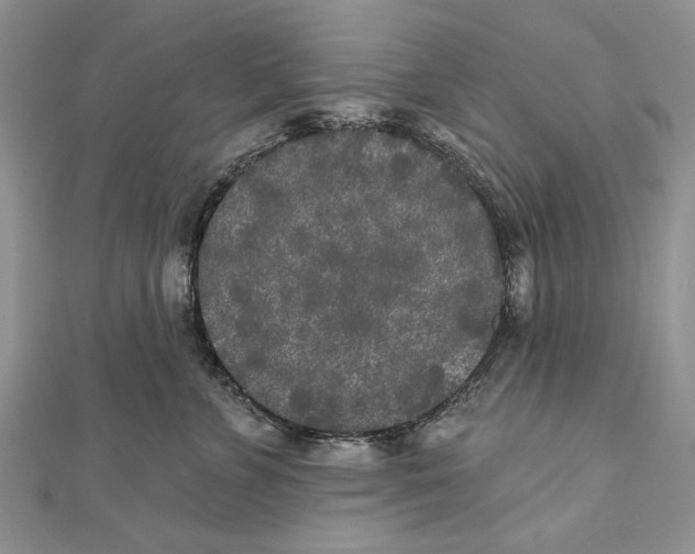 X0000111000715200907171814