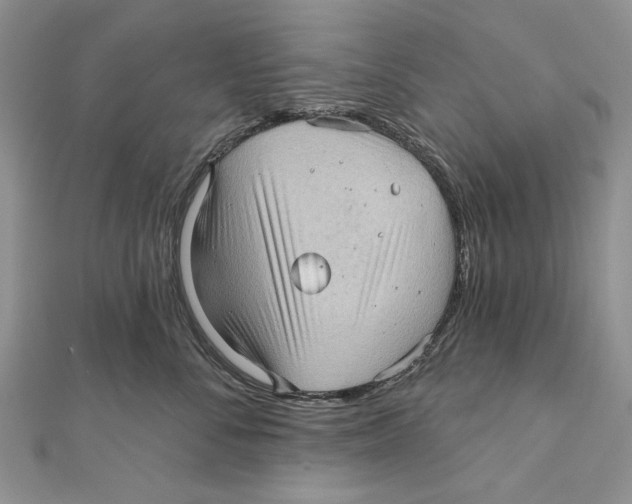 X0000111000716200907171814