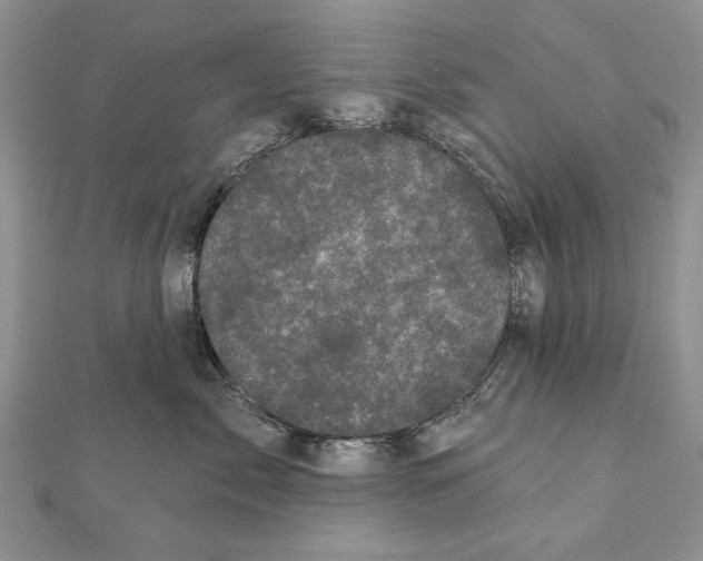 X0000111000717200907171814