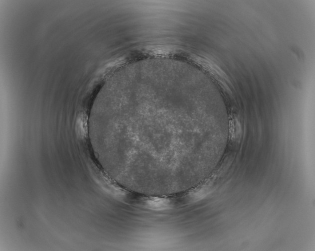 X0000111000718200907171814