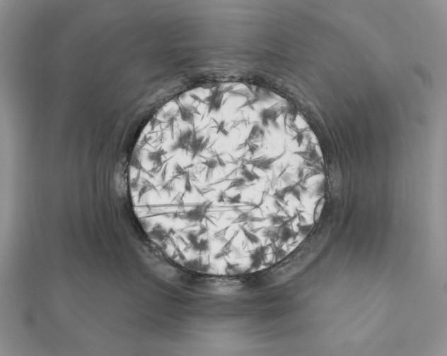 X0000111000719200907171813