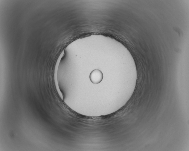 X0000111000720200907171813