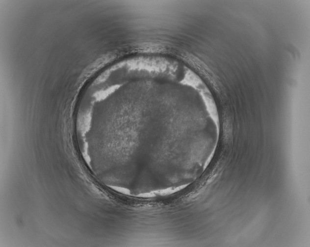 X0000111000721200907171813