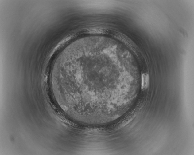 X0000111000723200907171813