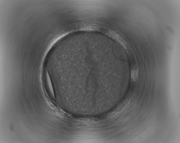 X0000111000724200907171813