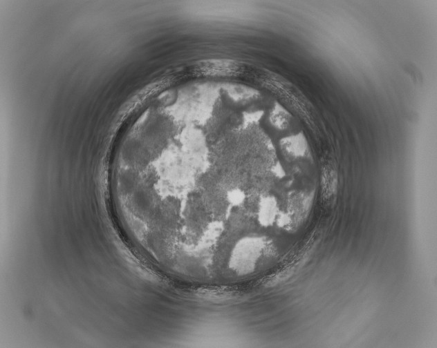 X0000111000725200907171813