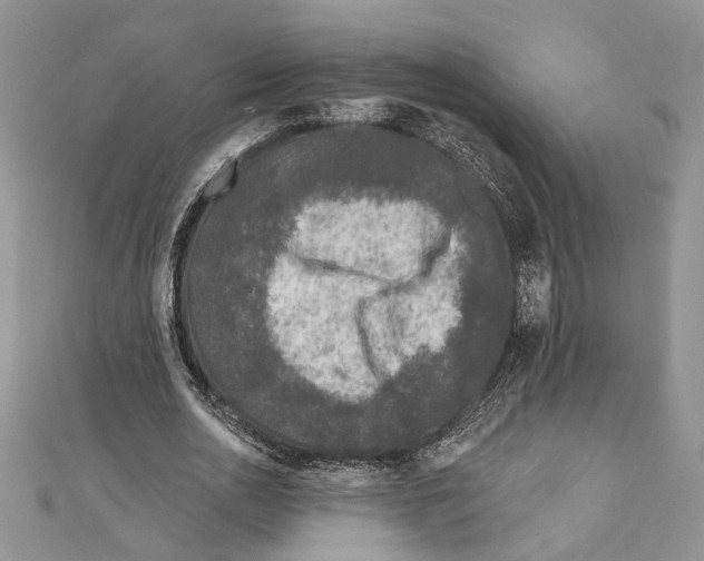 X0000111000726200907171813