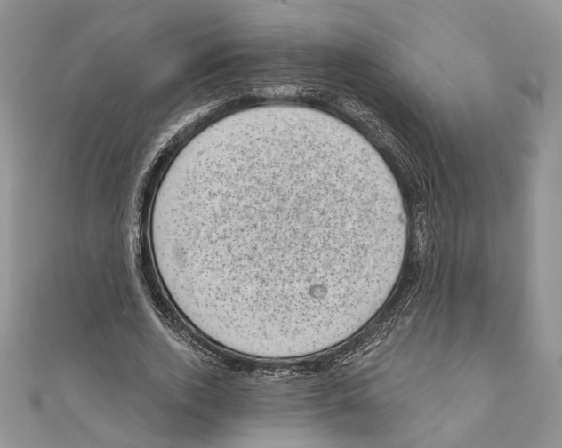 X0000111000728200907171813