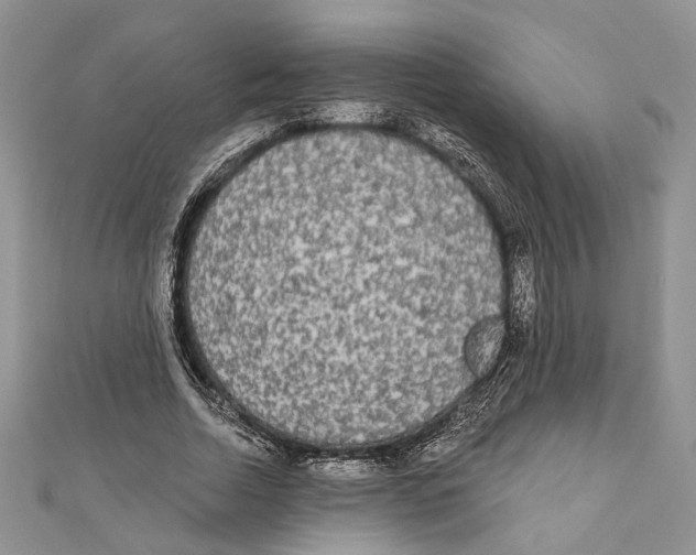 X0000111000730200907171813