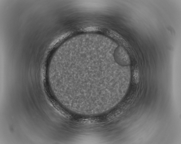 X0000111000732200907171813