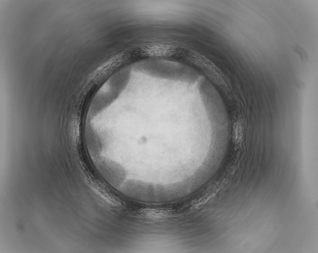 X0000111000733200907171813