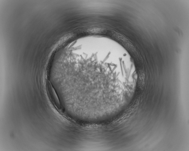 X0000111000734200907171813