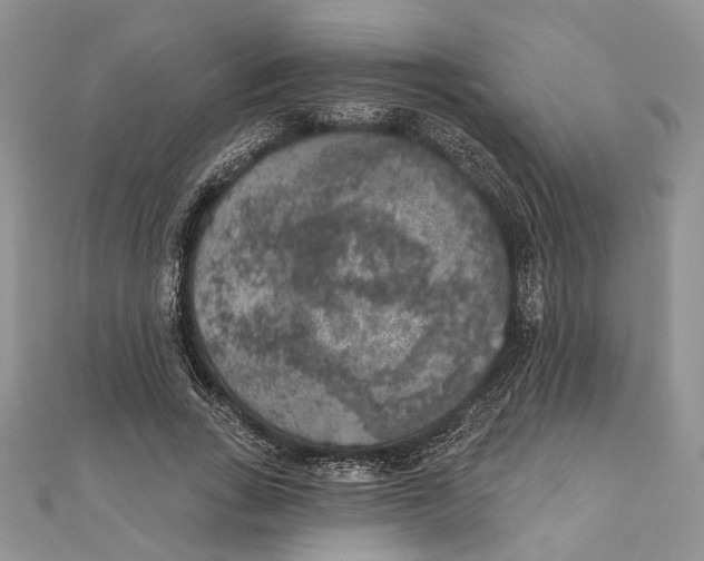 X0000111000735200907171813