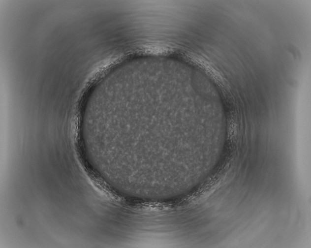 X0000111000736200907171813