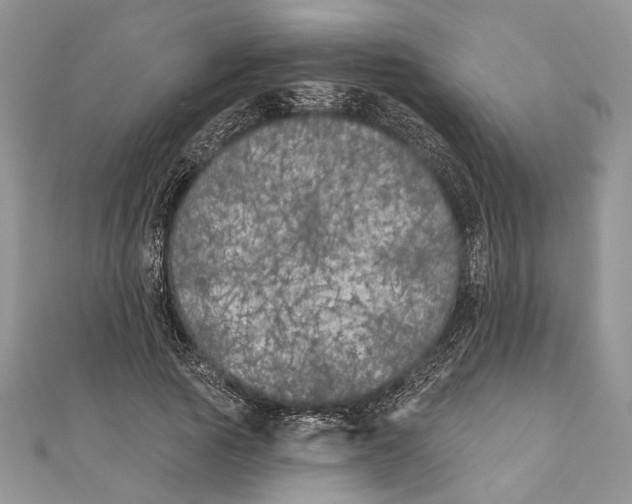 X0000111000737200907171813