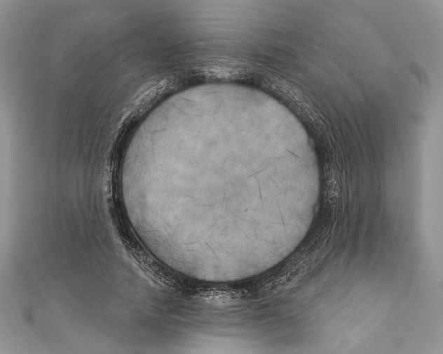 X0000111000738200907171813