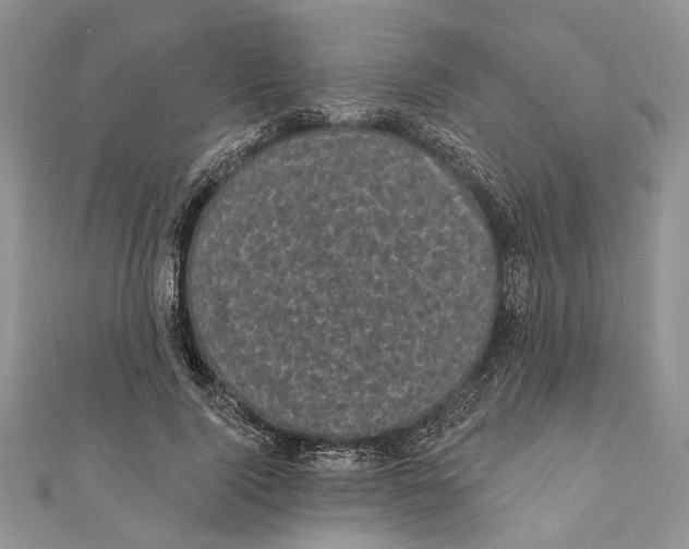 X0000111000740200907171813