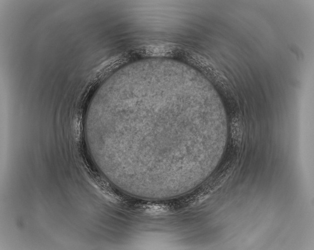 X0000111000741200907171813