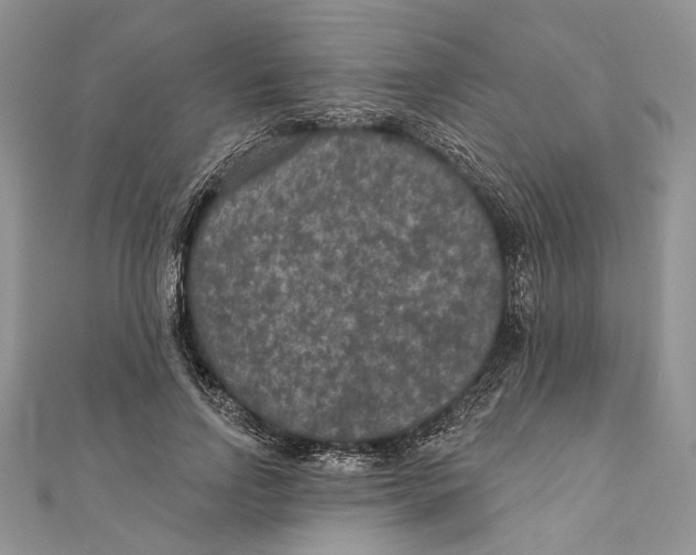 X0000111000742200907171813