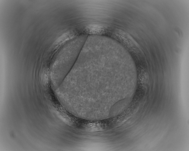 X0000111000744200907171813