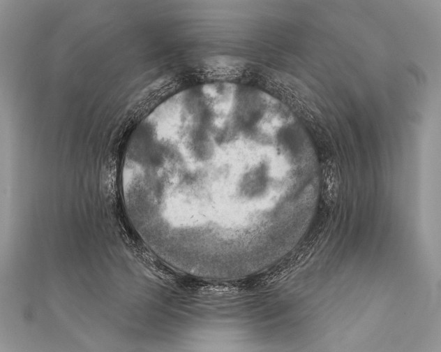 X0000111000745200907171813