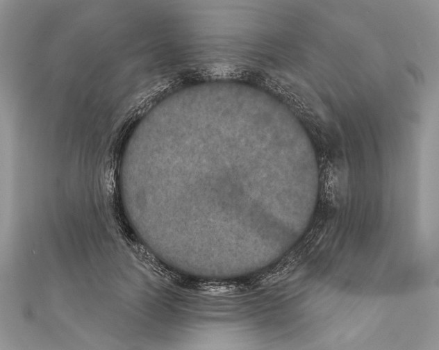 X0000111000746200907171813