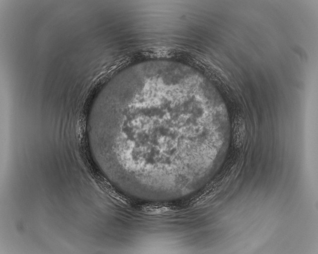 X0000111000747200907171813